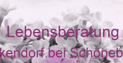 Lebensberatung Eickendorf bei Schönebeck | Top-Experten für Kartenlegen, Wahrsagen, Hellsehen, Zukunftsdeutung. Lebensberatung Eickendorf bei Schönebeck | Top-Experten für Kartenlegen, Wahrsagen, Hellsehen, Zukunftsdeutung.